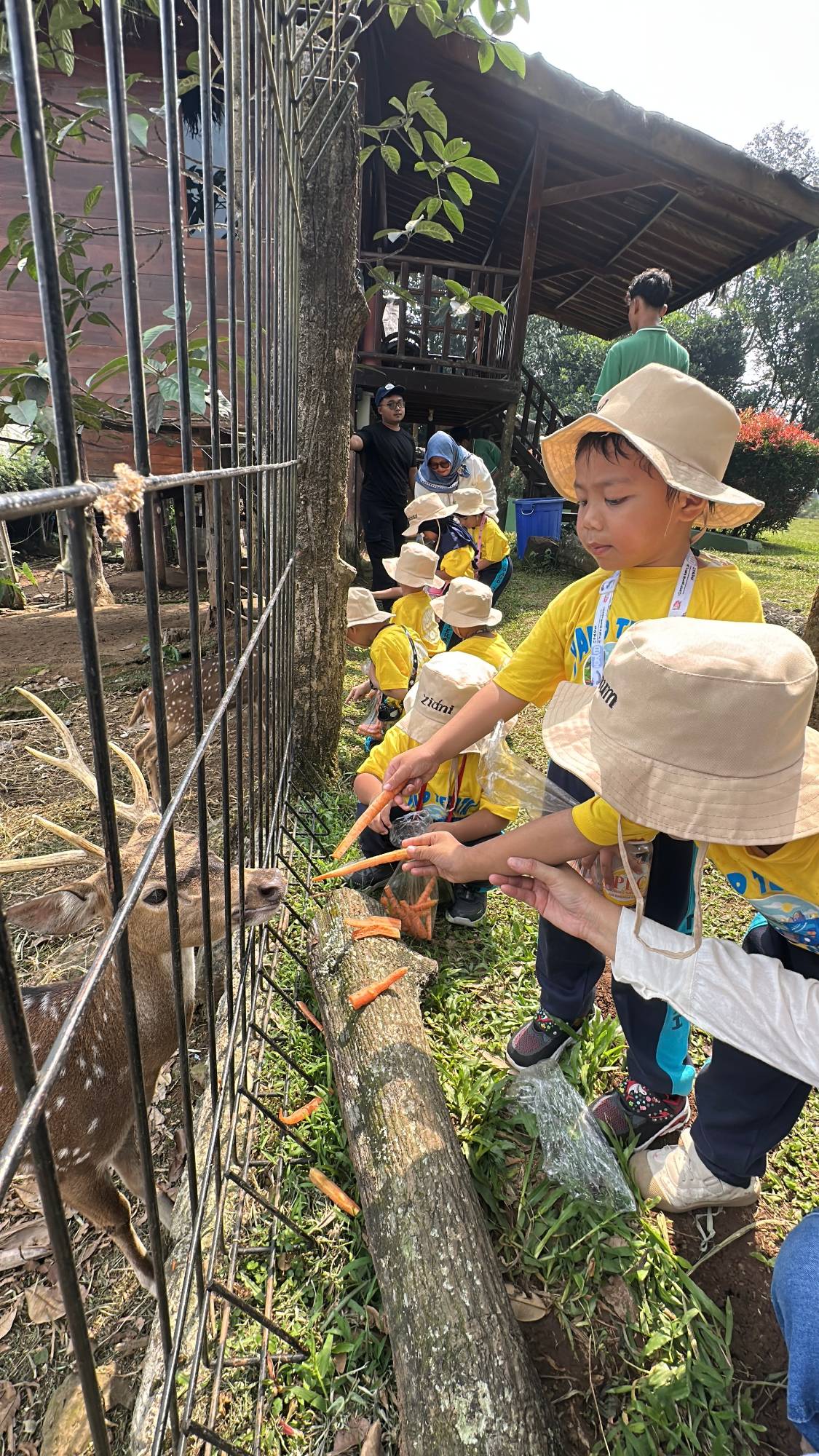 Finding Animal