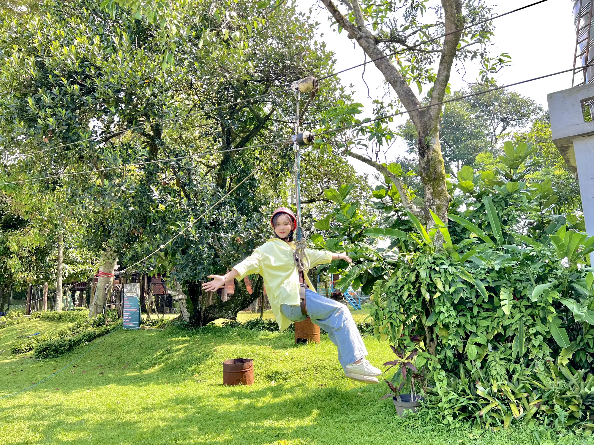Flying Fox