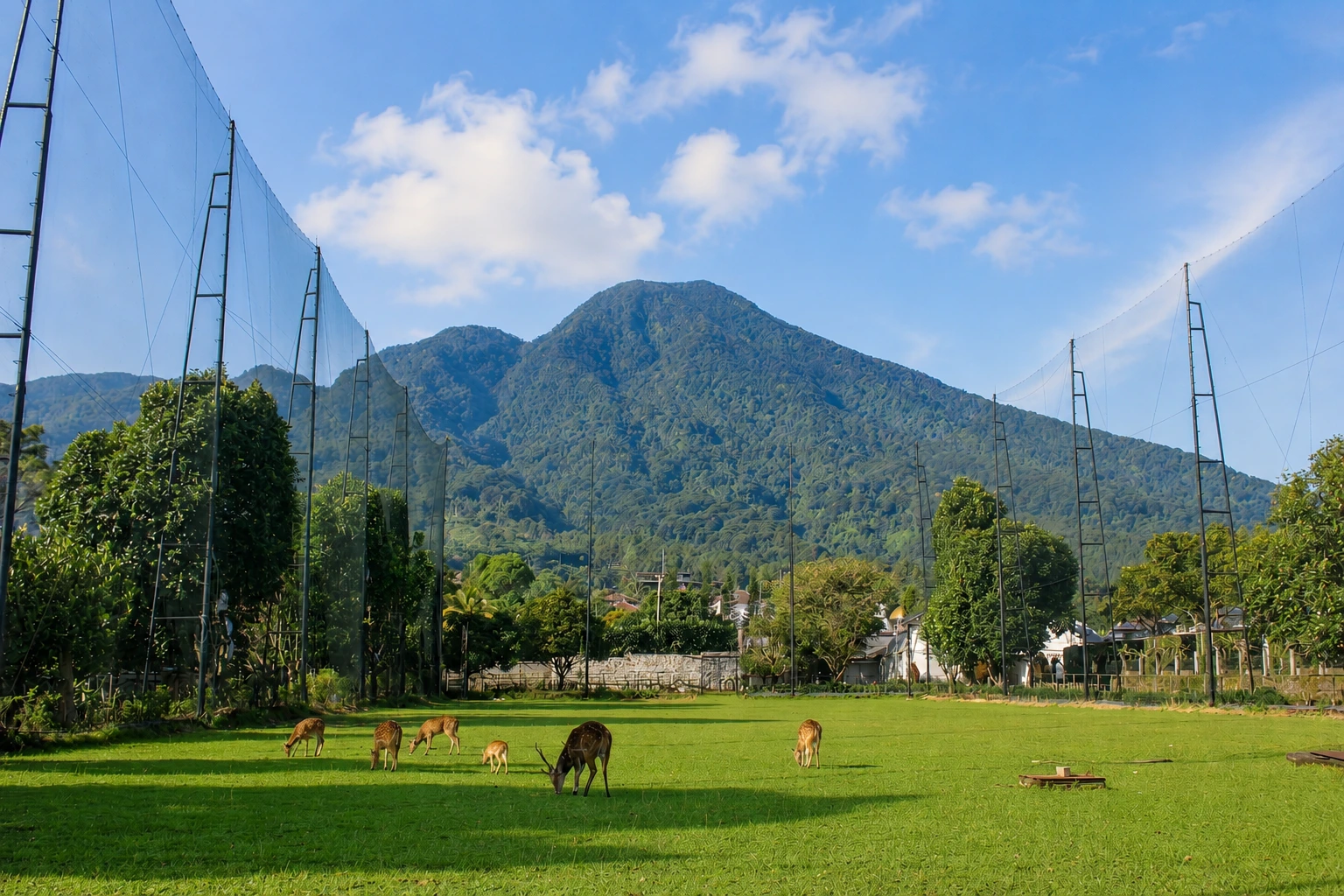 Pemandangan alam pegunungan sejuk di Bogor Jawa Barat sebagai lokasi outbound perusahaan