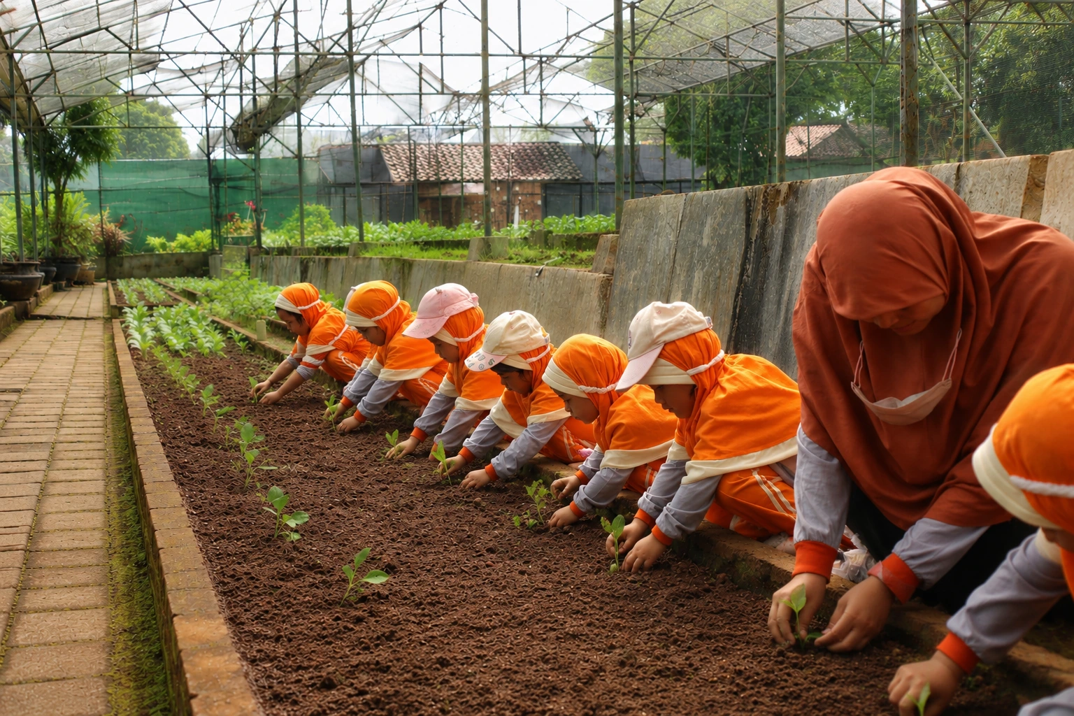 Edukasi Menanam Benih