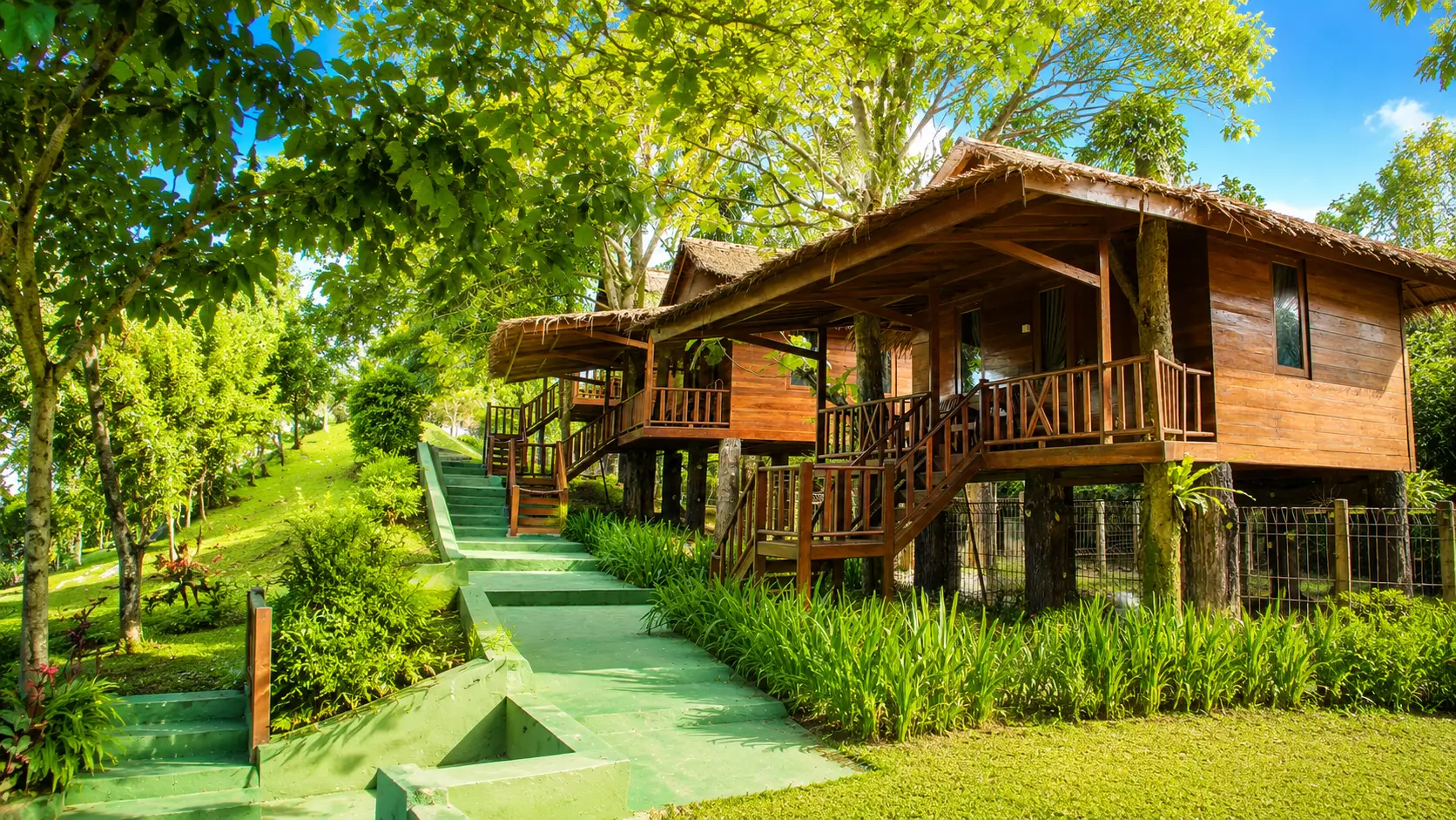 Tree House